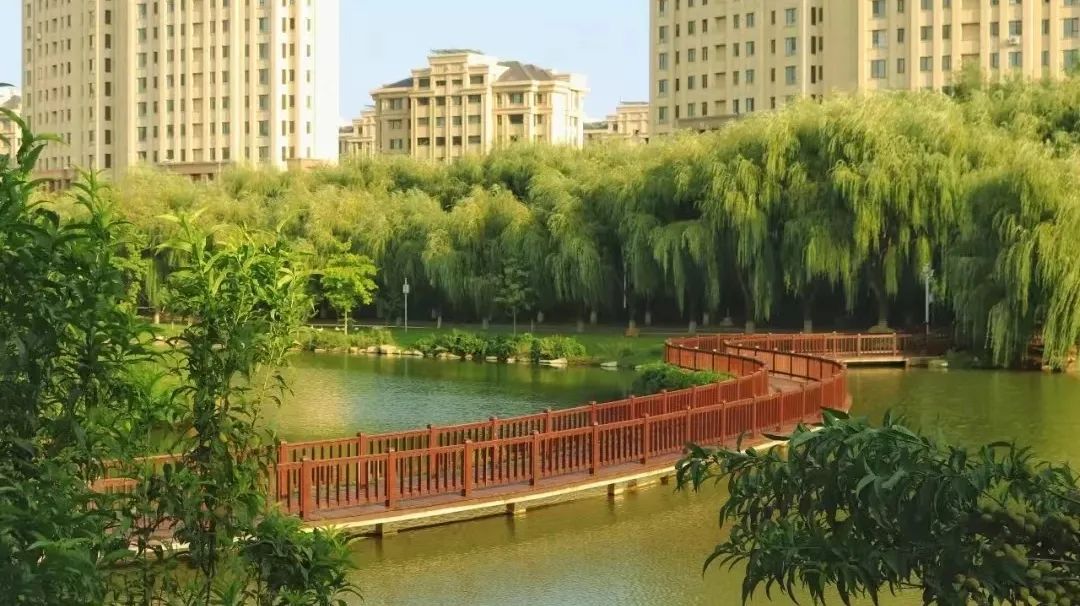 大连外国语大学招生简章2023,大连外国语大学2024年招生简章