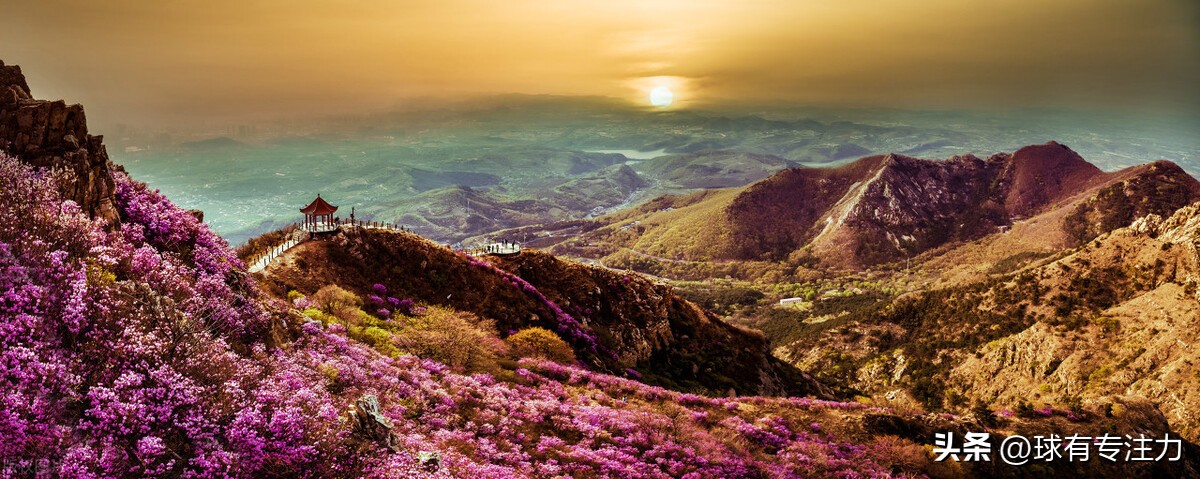 12.16竞彩足球比分推荐,竞彩足球今日推荐狼堡塞维利亚