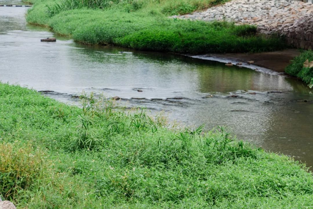 深圳4号线哪个站好玩,深圳1号线有哪些玩的地方