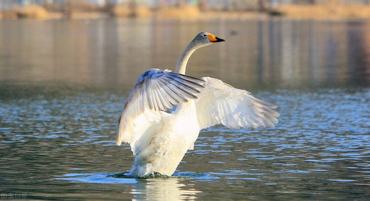 十里莺啼桥上客，邻家钗唤晚来舟——田新智七律诗选
