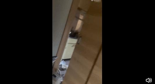 日本发生7.4级地震现场,日本发生7.4级地震