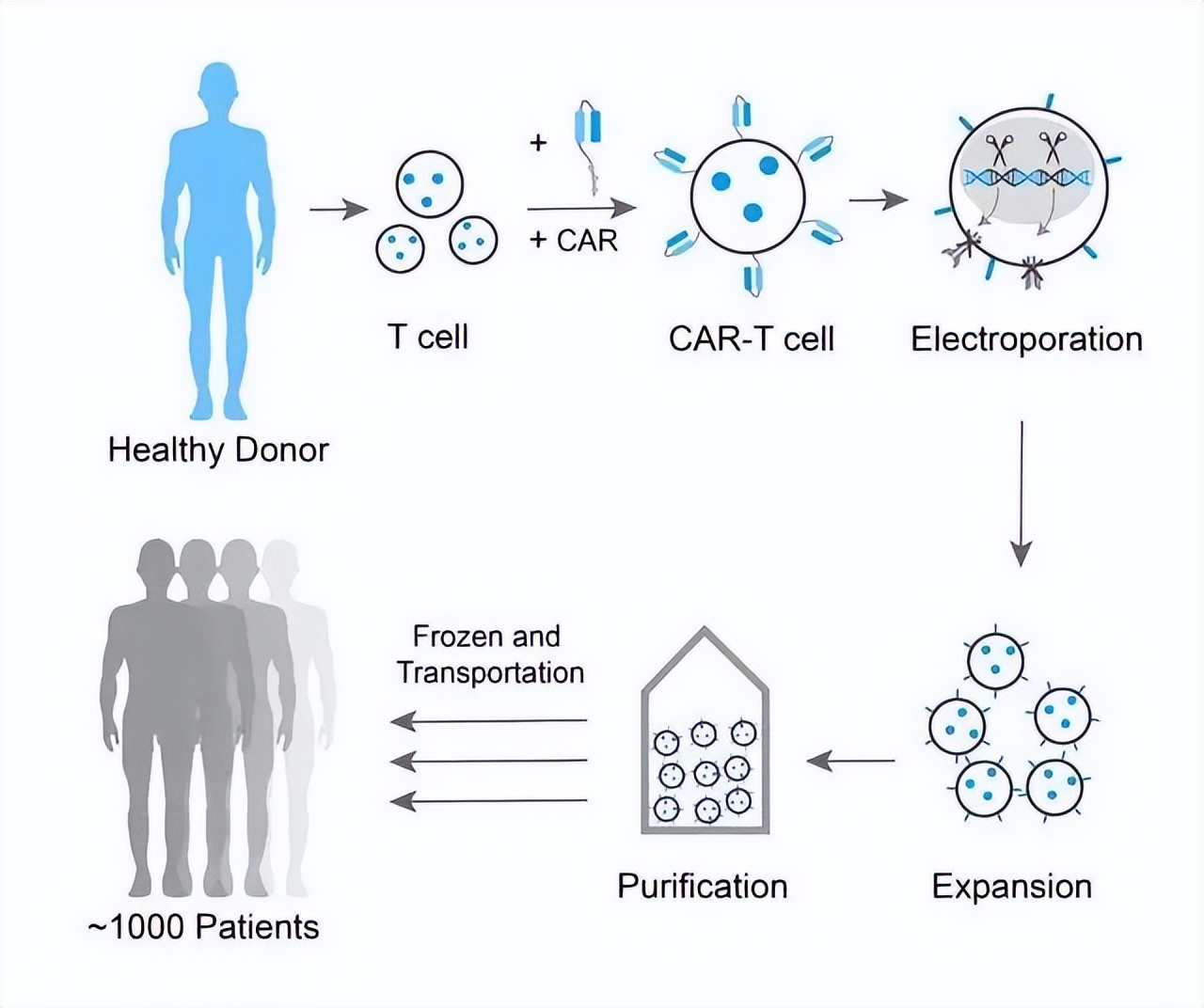 华美浩联CAR-T治疗权益卡,综合版正式上线