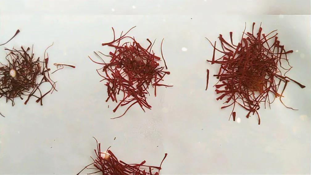 客人泡茶放50根藏红花,客人泡茶放50根藏红花吓坏主人