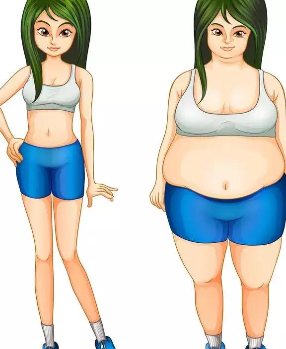 为何胖的人身体容易发热,为什么胖导致热