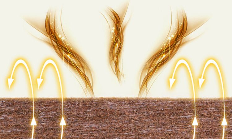 冬天床垫下面那层为什么都是湿的,冬天床垫下面为什么有水汽