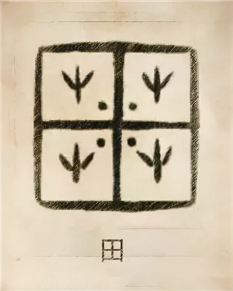 你的姓氏是什么完整版,你的姓氏是什么图腾