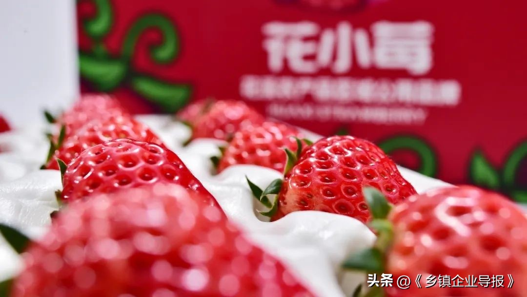 乡村振兴电商助农图片,乡村振兴助农计划项目商业模式