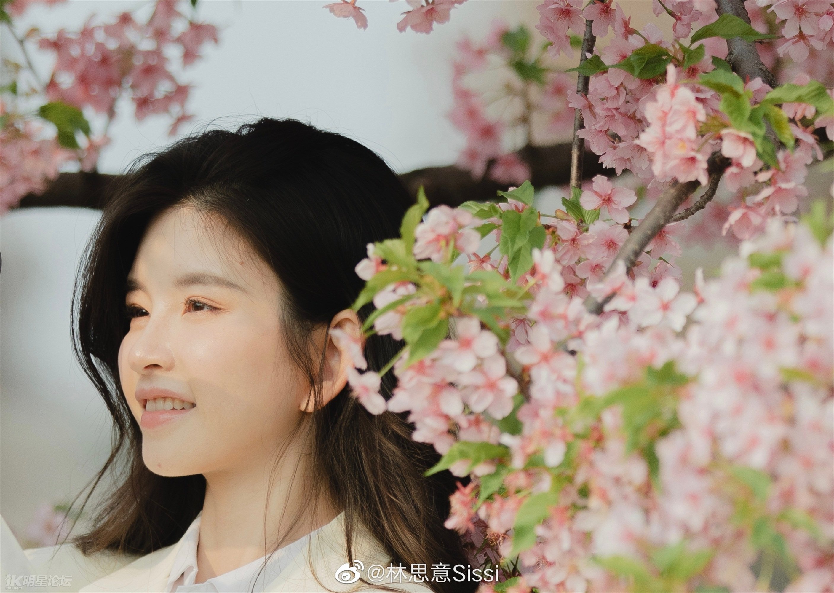 林思意闪亮的日子,林思意唱的所有的歌曲