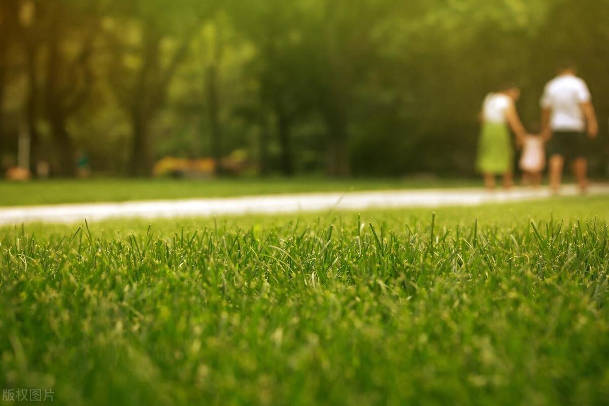 【独家】EOD项目如何实现整体“收益与成本平衡”