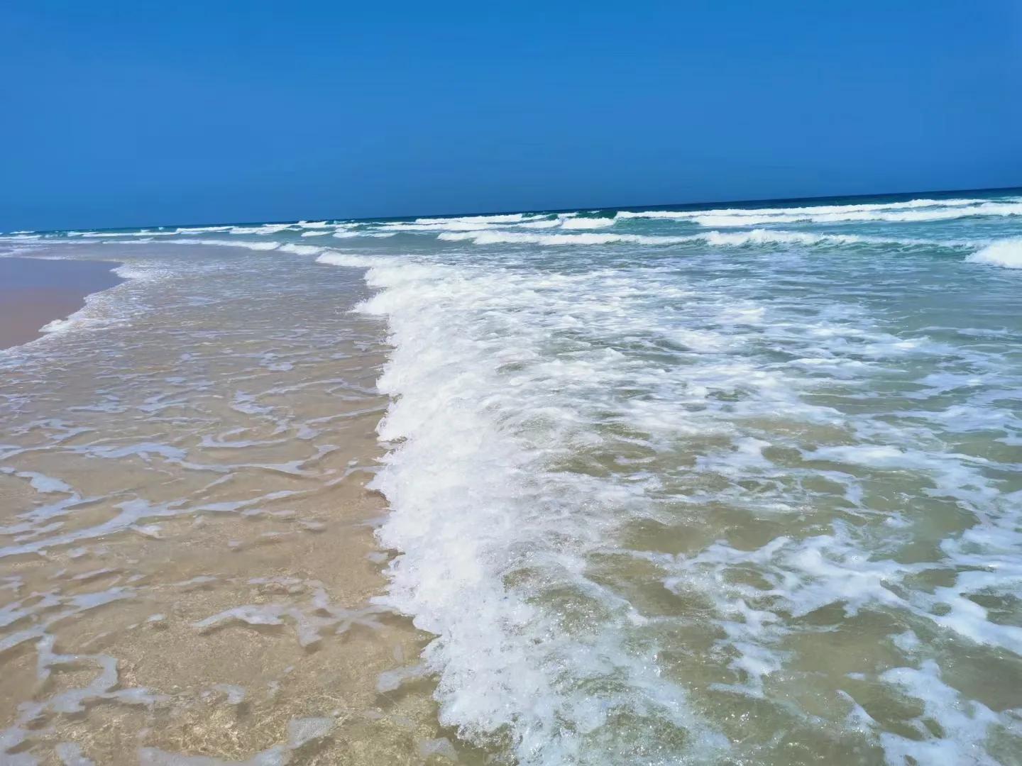 文昌椰林在哪里,文昌椰林靠海吗