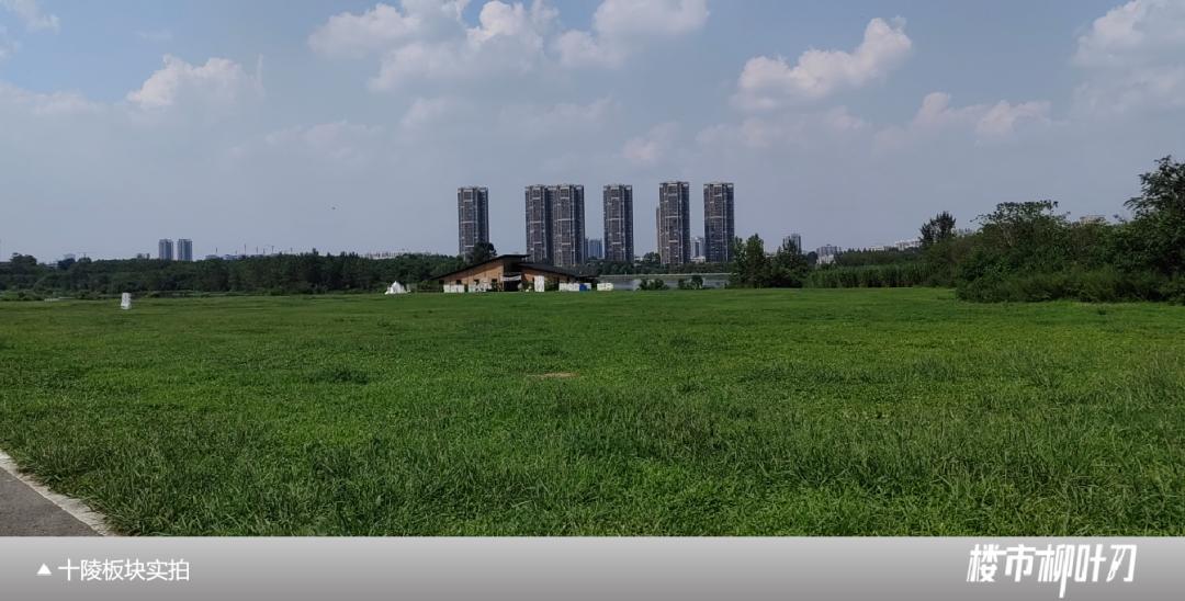 成都武侯新城板块,成都主城区板块分析最新