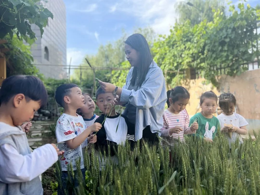 倾听儿童相伴成长主题墙幼儿园,倾听儿童相伴成长幼儿园小班视频