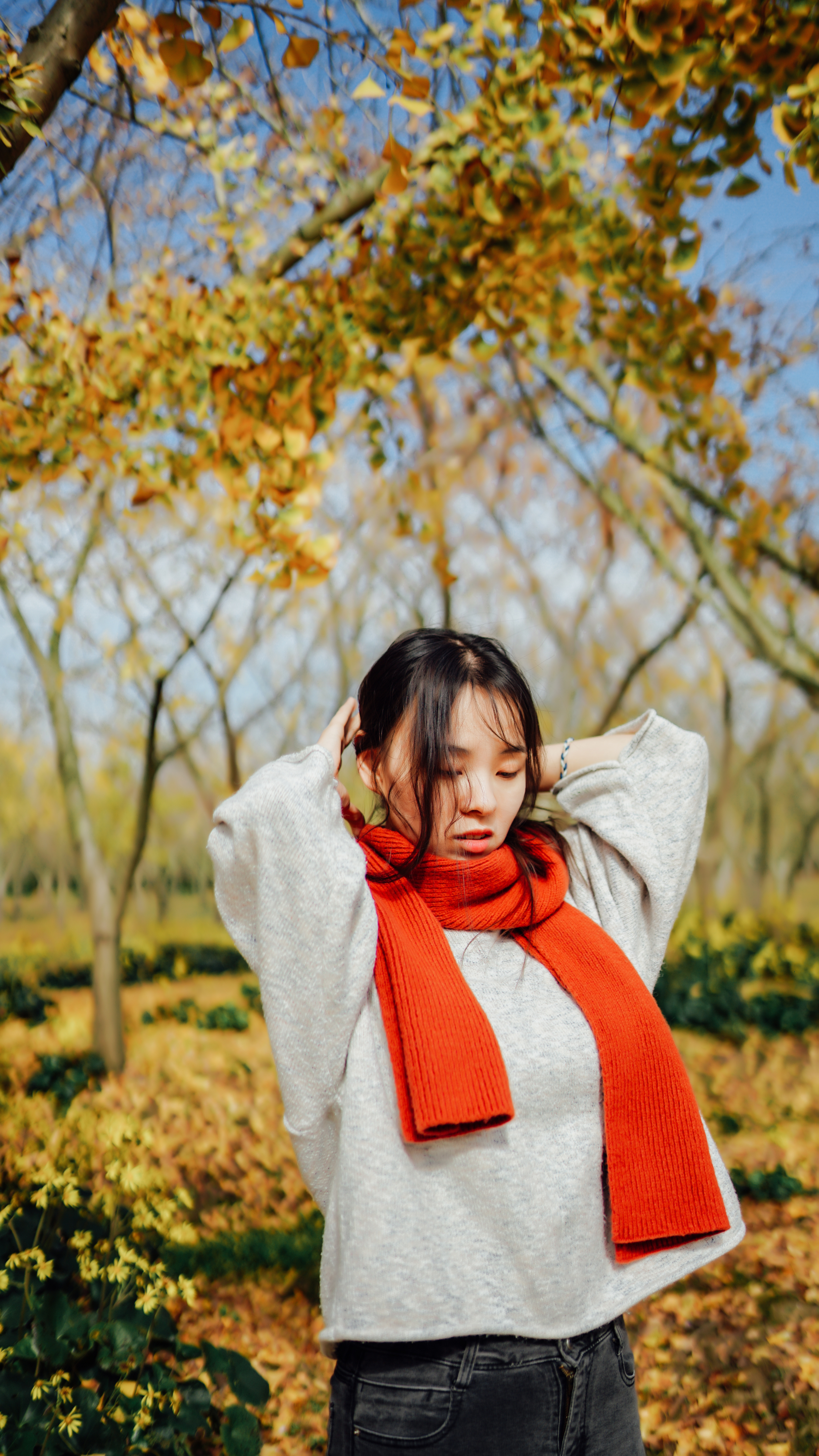 摄影苏州银杏树,苏州银杏拍照人像