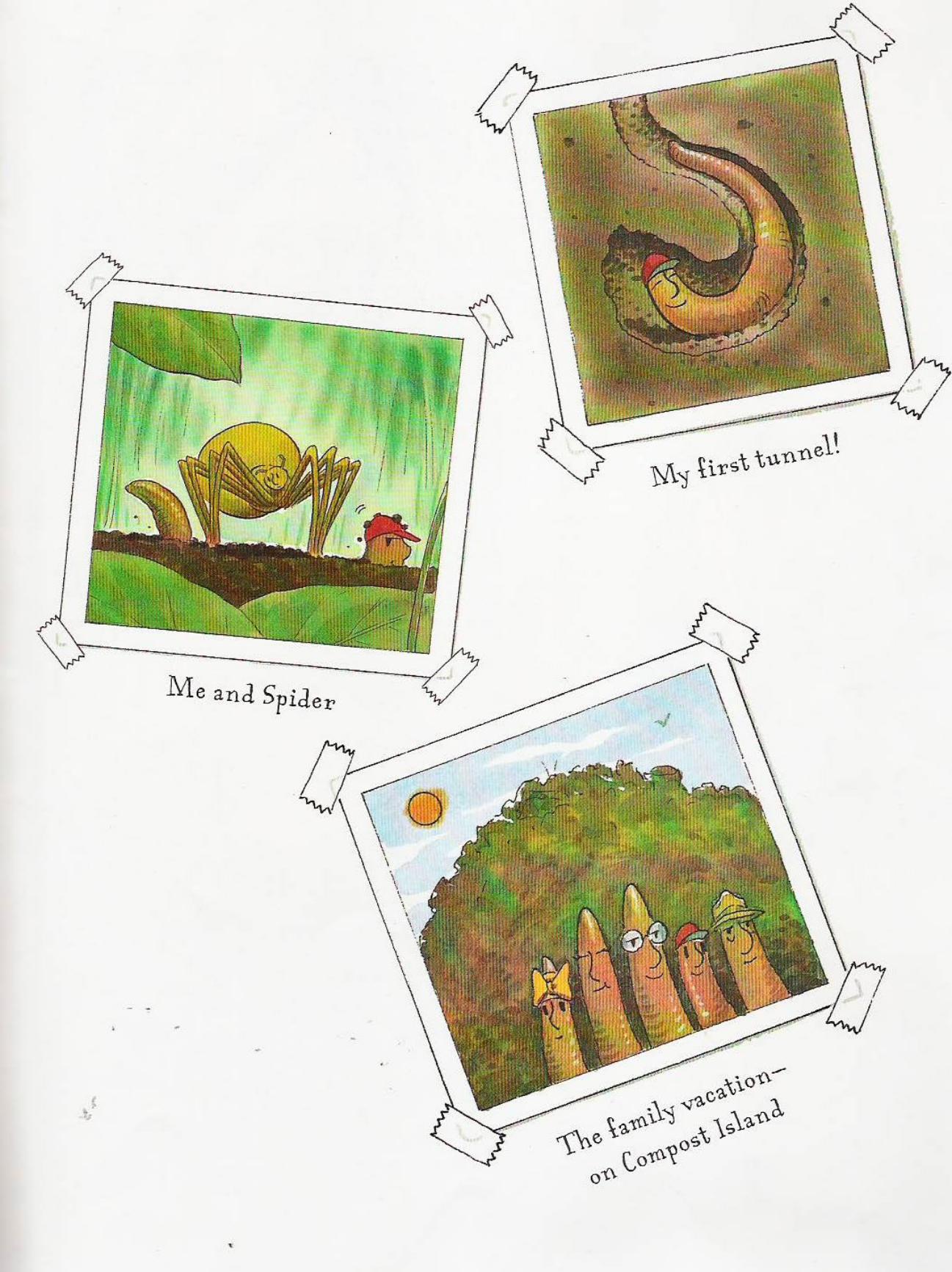 diaryofaworm缁樻湰,diaryofaworm缁樻湰璁茶В