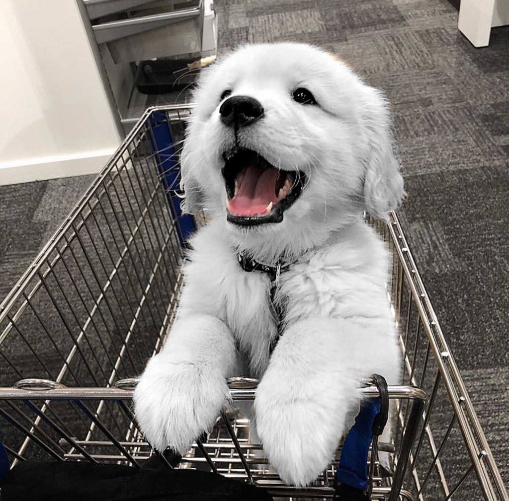 缇庡浗灏忓摜鐐硅瘎瑙嗛,缇庡浗灏忓摜鐐硅瘎