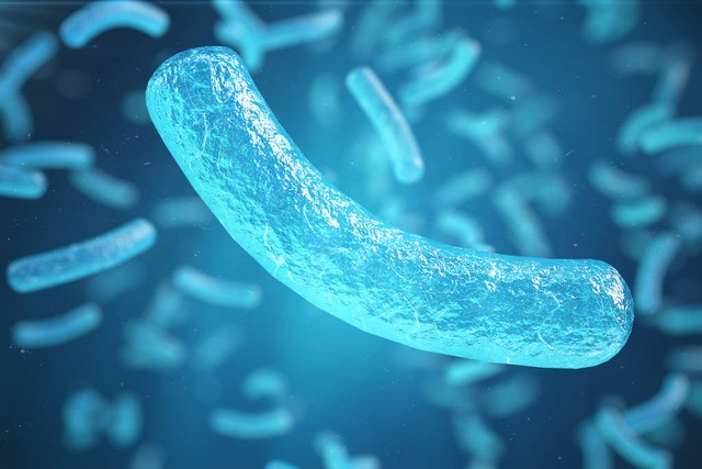 桥本甲状腺炎中医解释,中医对桥本氏甲状腺炎的认识