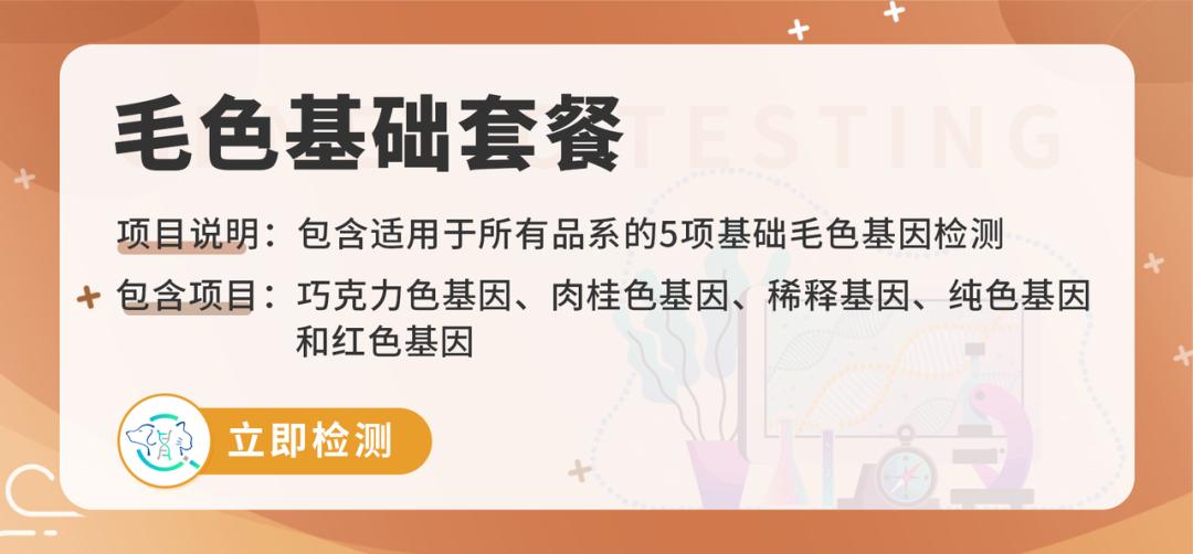 基因克隆最新突破,基因最新突破