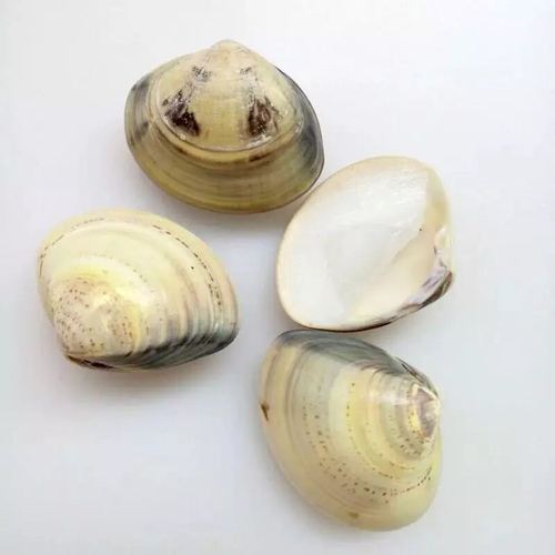 80年代的供销社物品,四十年前供销社卖过的49种日用品