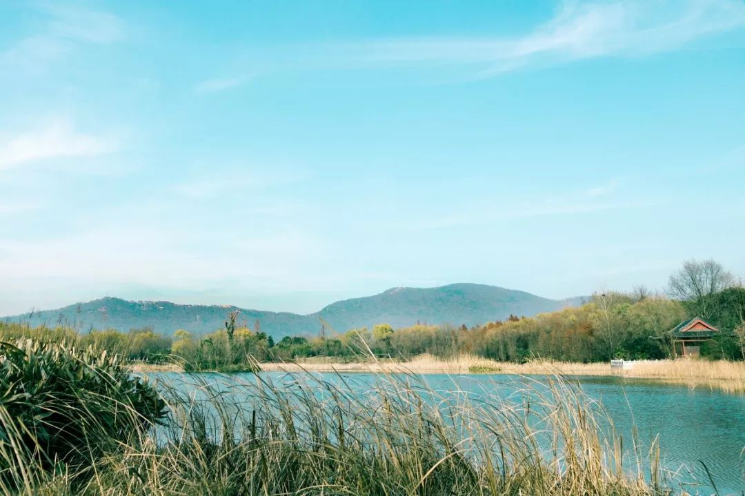 李煜菩萨蛮花明月暗笼轻雾,李白李煜最经典的十首词