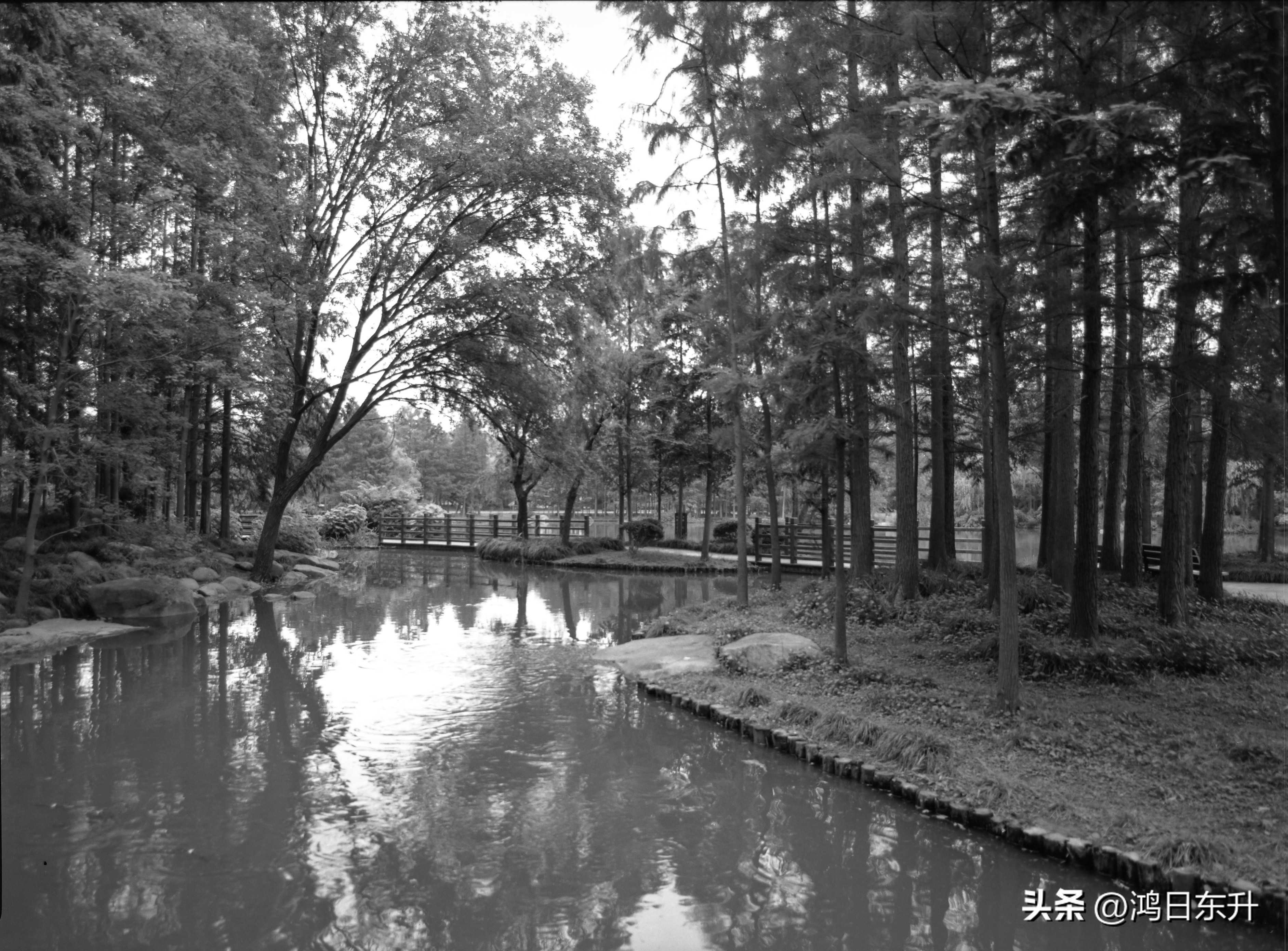 宾得645Nii老胶片相机值得拥有