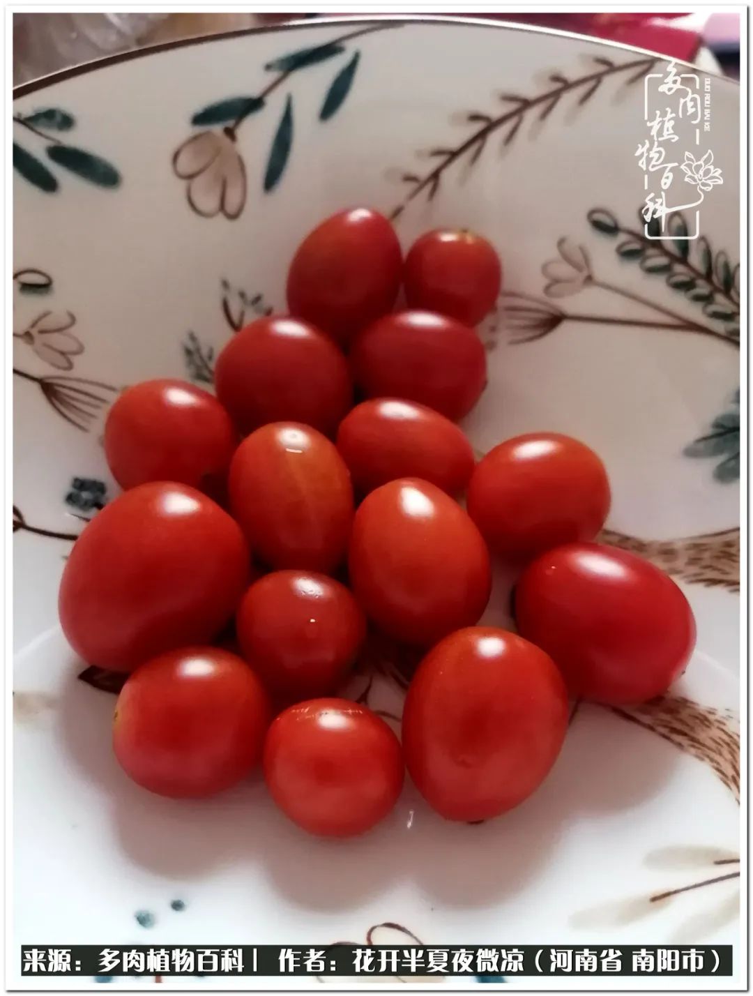 万事开头难只要坚持才有收获,万事开头难只要肯干就会有结果