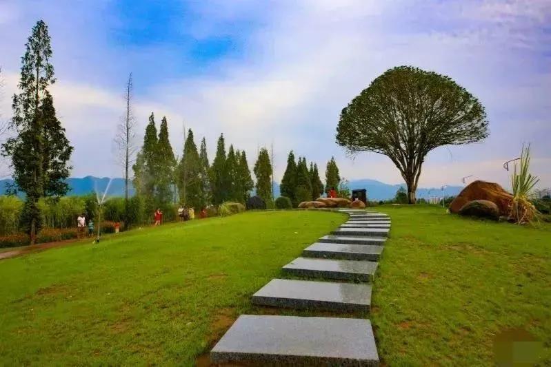 西乡县茶叶镇樱桃采摘,陕西汉中哪里可以摘樱桃