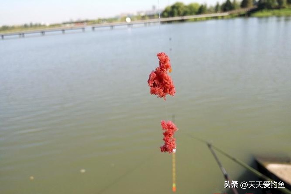 天热钓不到大板鲫视频,阴雨天钓白条技巧和方法