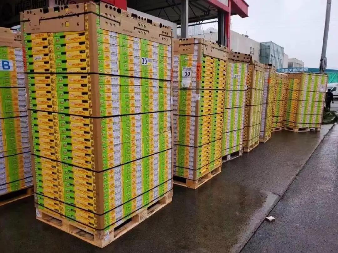 中国进口的猕猴桃,新西兰猕猴桃为啥畅销世界