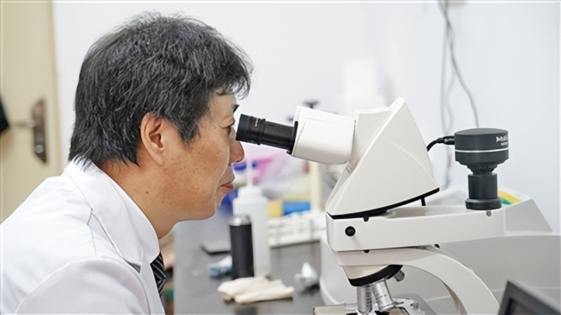 呼和浩特创新创业创意,呼和浩特创新创业产业园