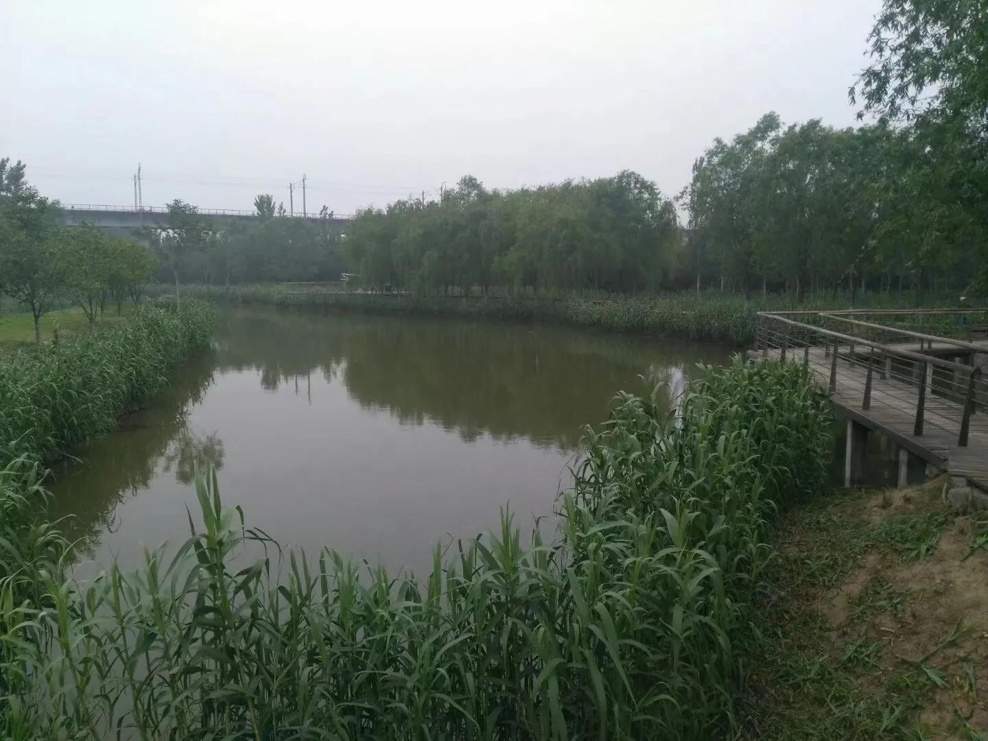 你对秦腔戏曲有什么新的认识,秦腔语言鉴赏札记