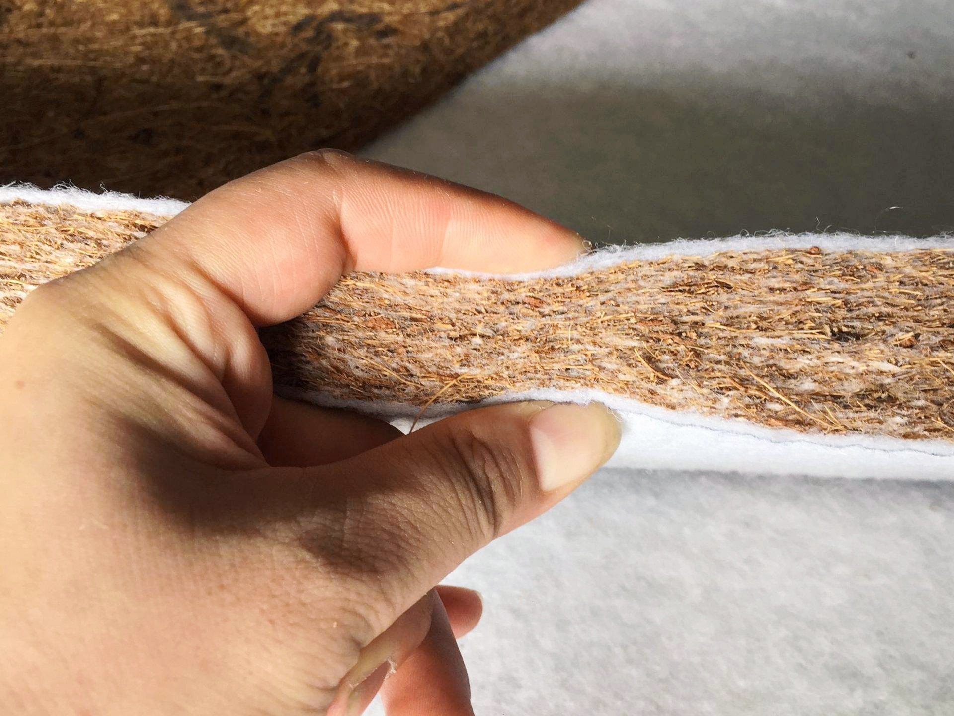 去年花1.5万购入高端棕垫,今年花500元升级,感慨:越贵越难睡!