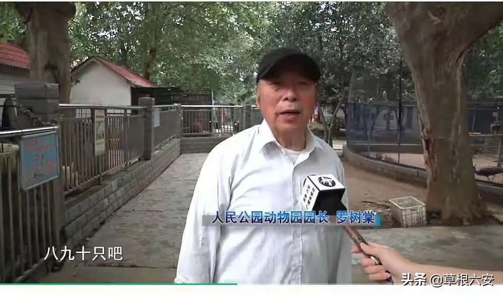 动物园新消息,肥东动物园新消息