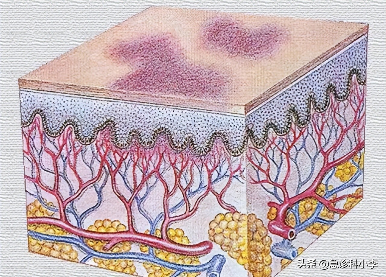 三种中药已经被禁用,六种已被叫停的家庭常用药