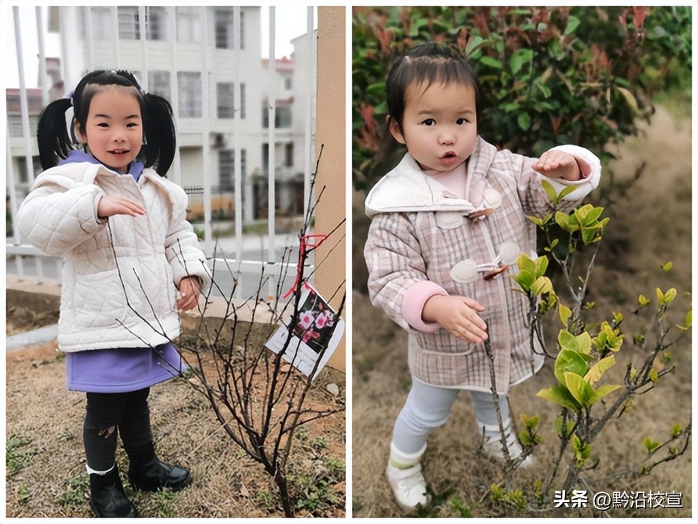 独山县城西童乐幼儿园:“春风十里,绿意萌动”