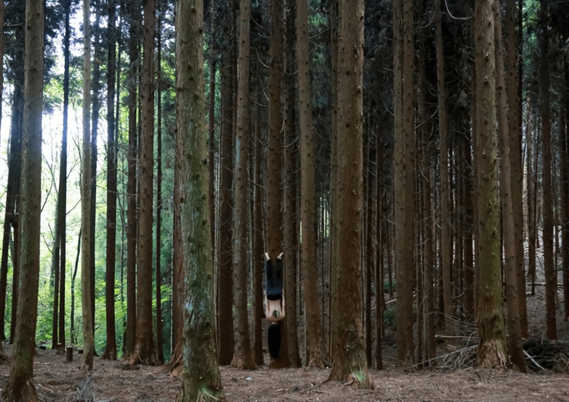 濂宠涓鸿壓鏈,琛屼负濂宠壓鏈