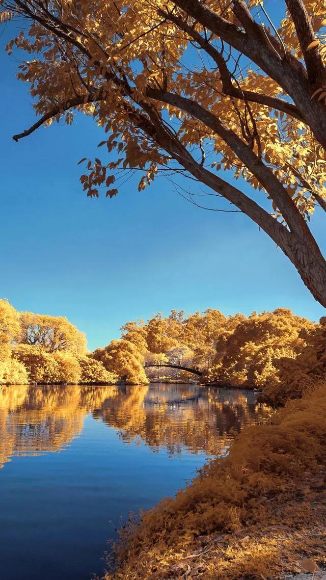 最惊艳的自然风景手机壁纸超清,风景壁纸动态壁纸高清全屏90帧
