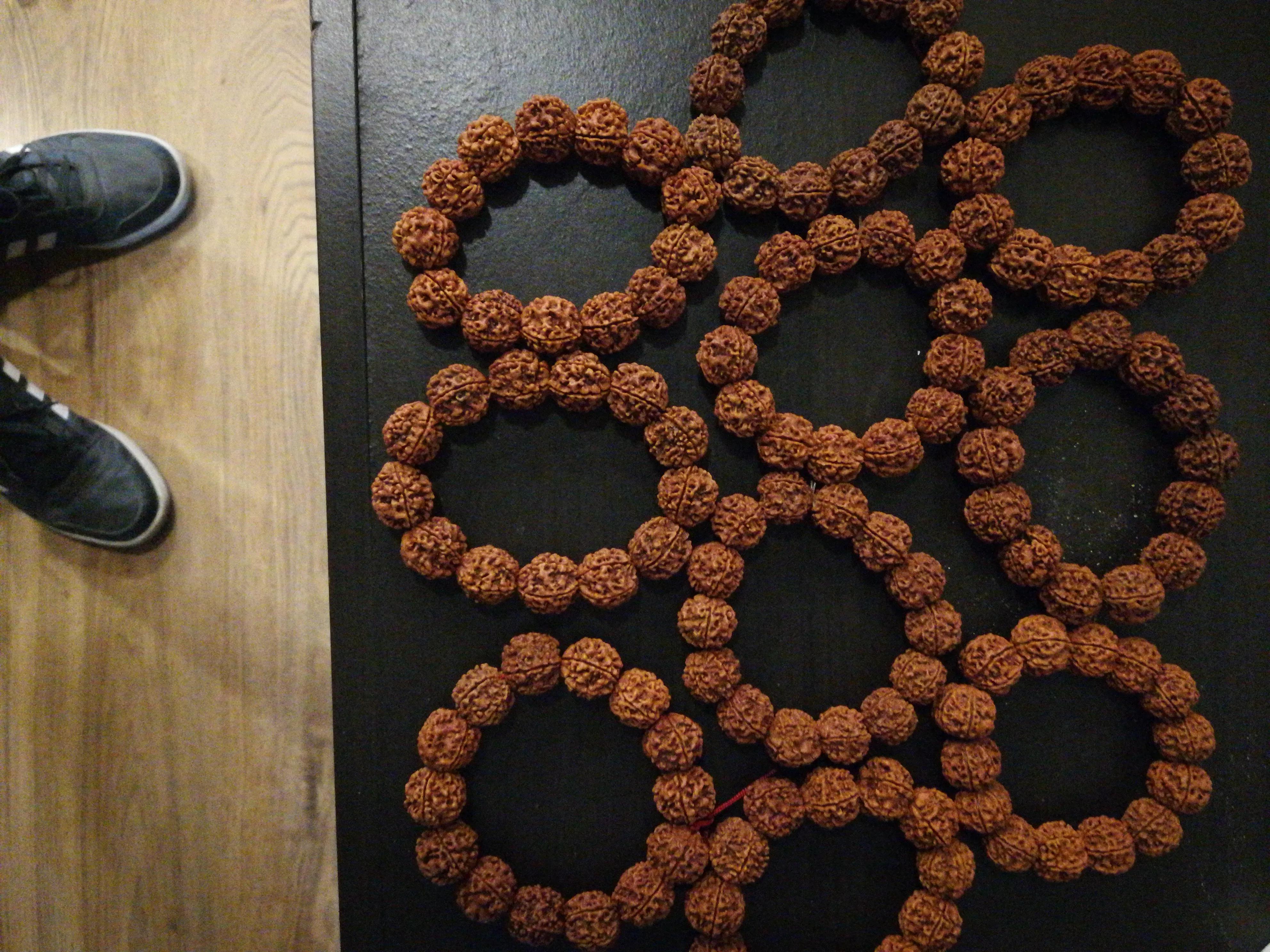 尼泊尔的金刚菩提 (尼泊尔的金刚菩提价格)