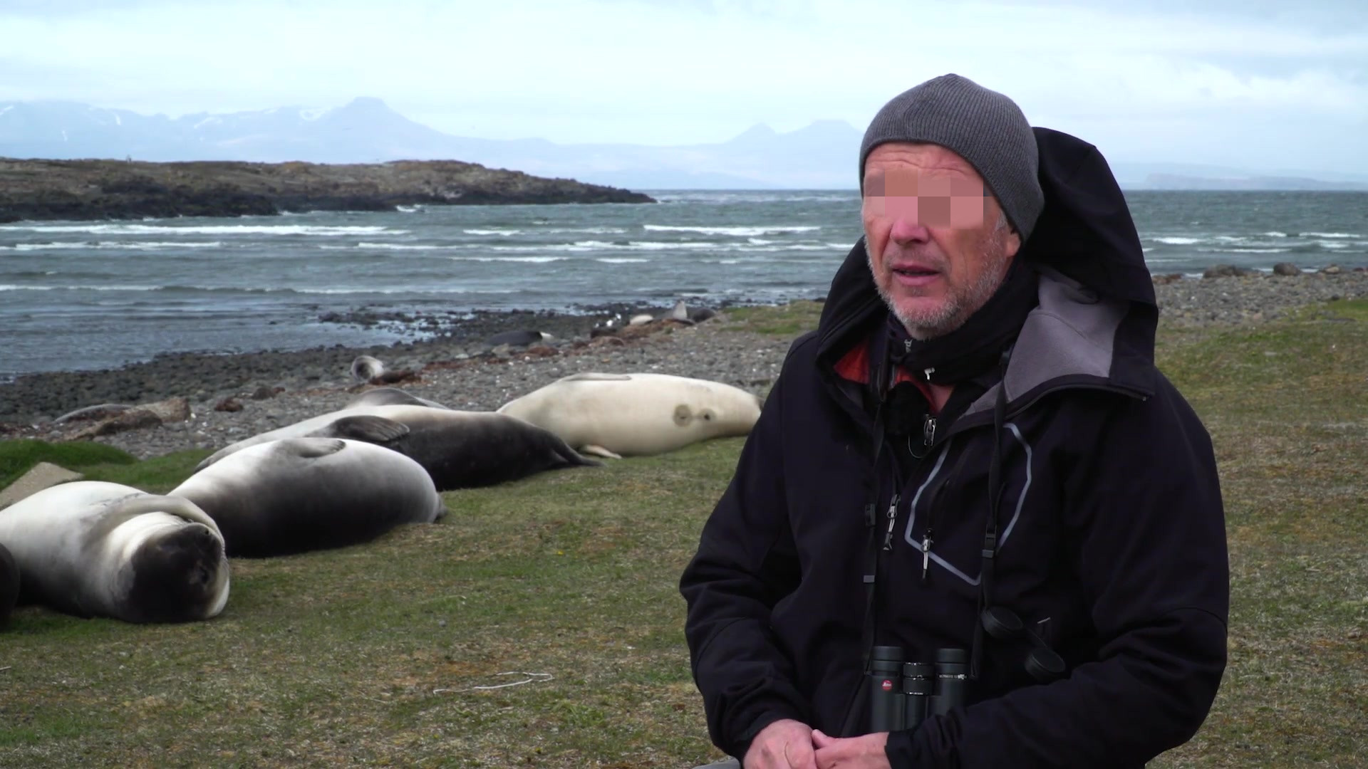 法国出售中国的岛屿是什么岛,法国小岛出售