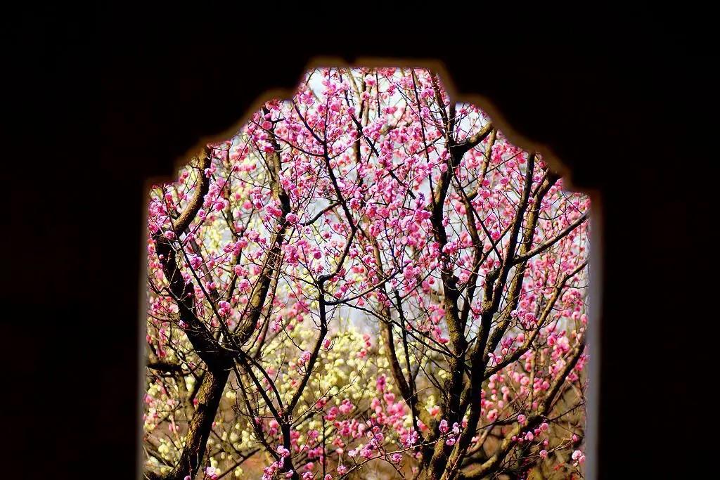 二首妙不可言的趣味古诗,妙不可言的古诗有哪些