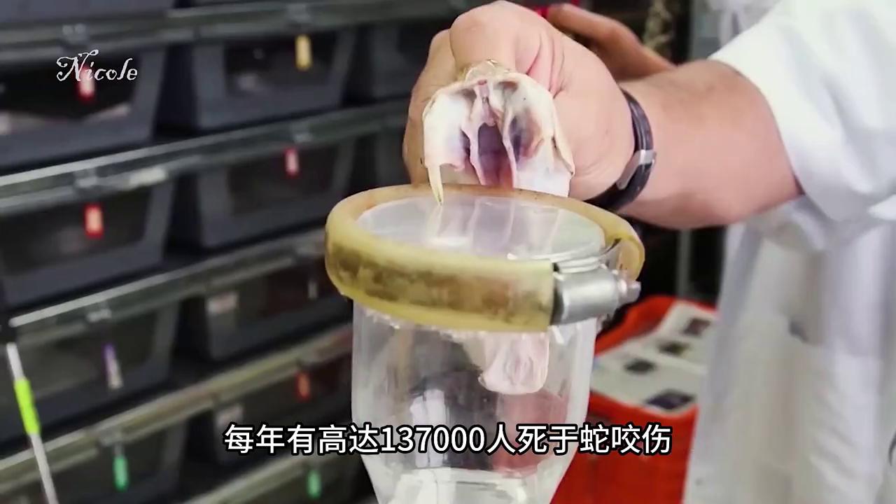 剧毒致命毒蛇,毒蛇救命草药大全