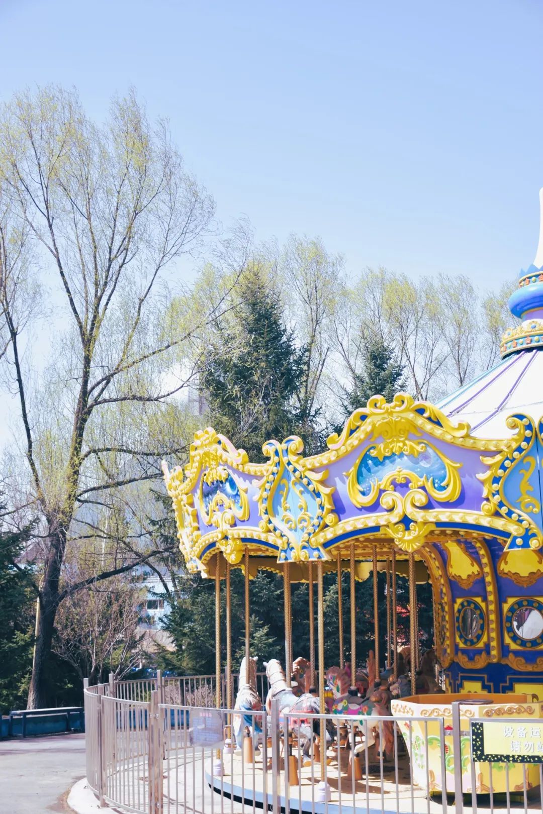 我们的妈妈小时候都是玩什么,妈妈也是个爱玩的孩子