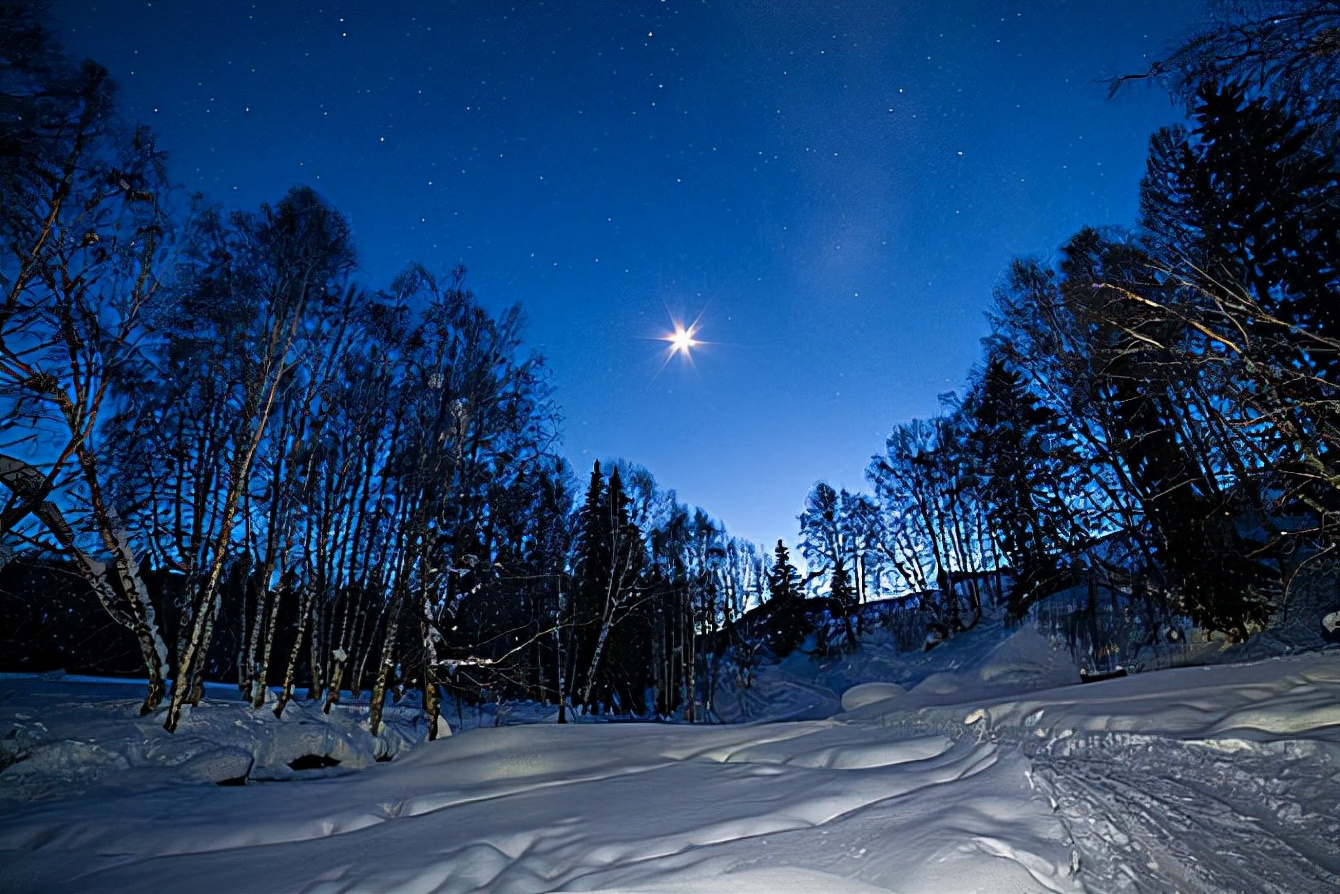 海南报恩巨蟒现况,巨蟒为报恩甘愿当“保姆”