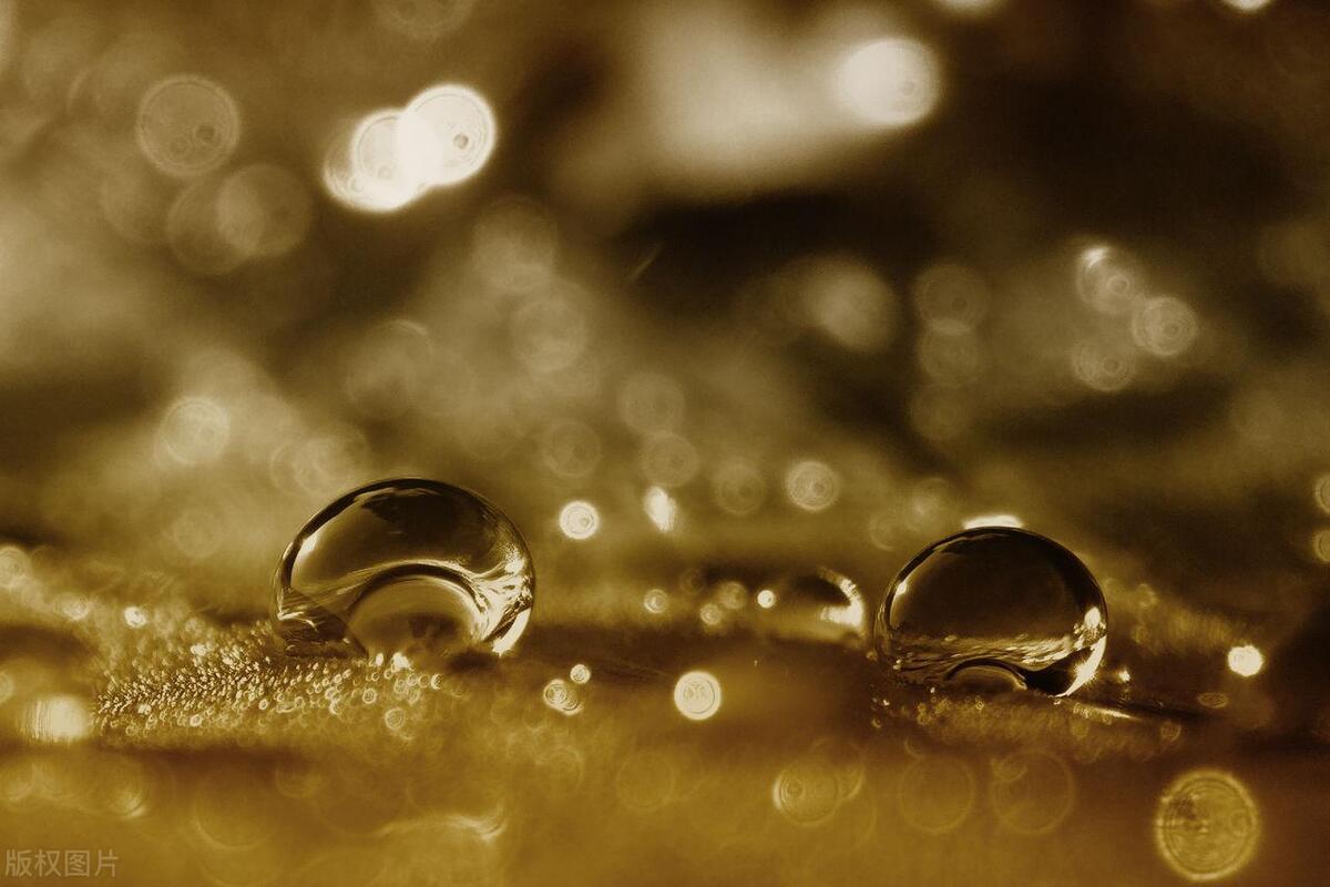 身体湿气重吃哪些药可以排出湿气,夏天湿气重这6种食物有助祛湿