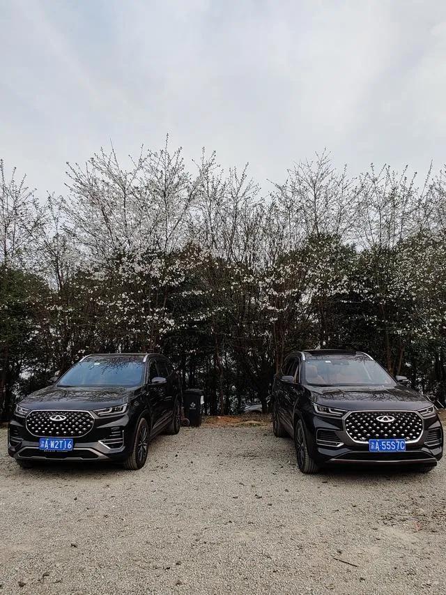 瑞虎8plus加95号油还是92号油,奇瑞瑞虎8plus车主实测油耗