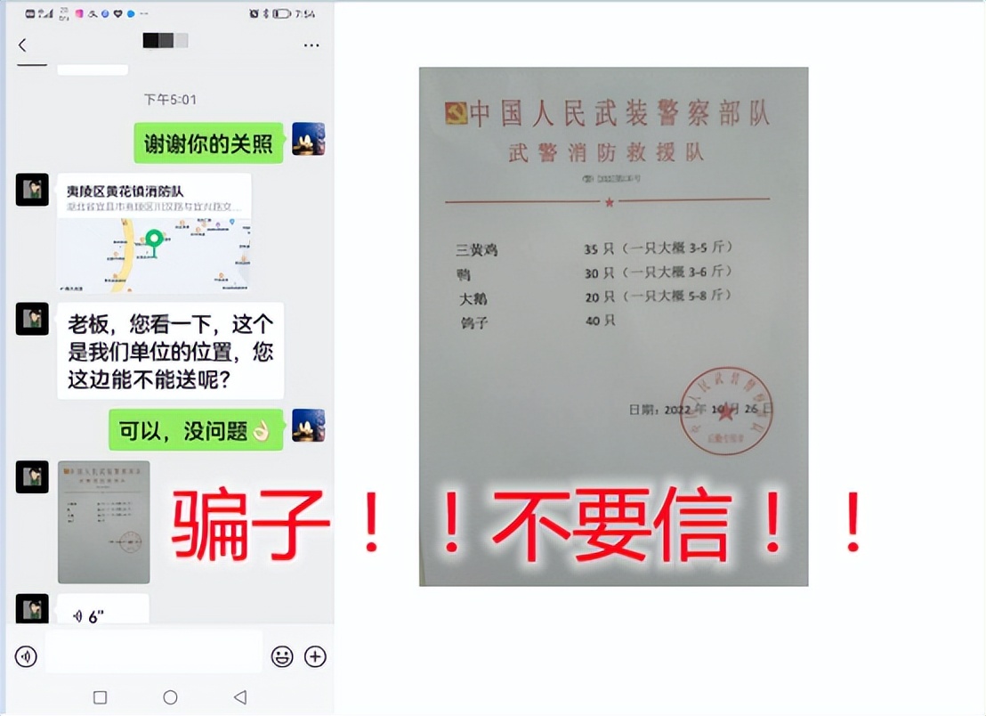 张参谋朱豪,张参谋保险