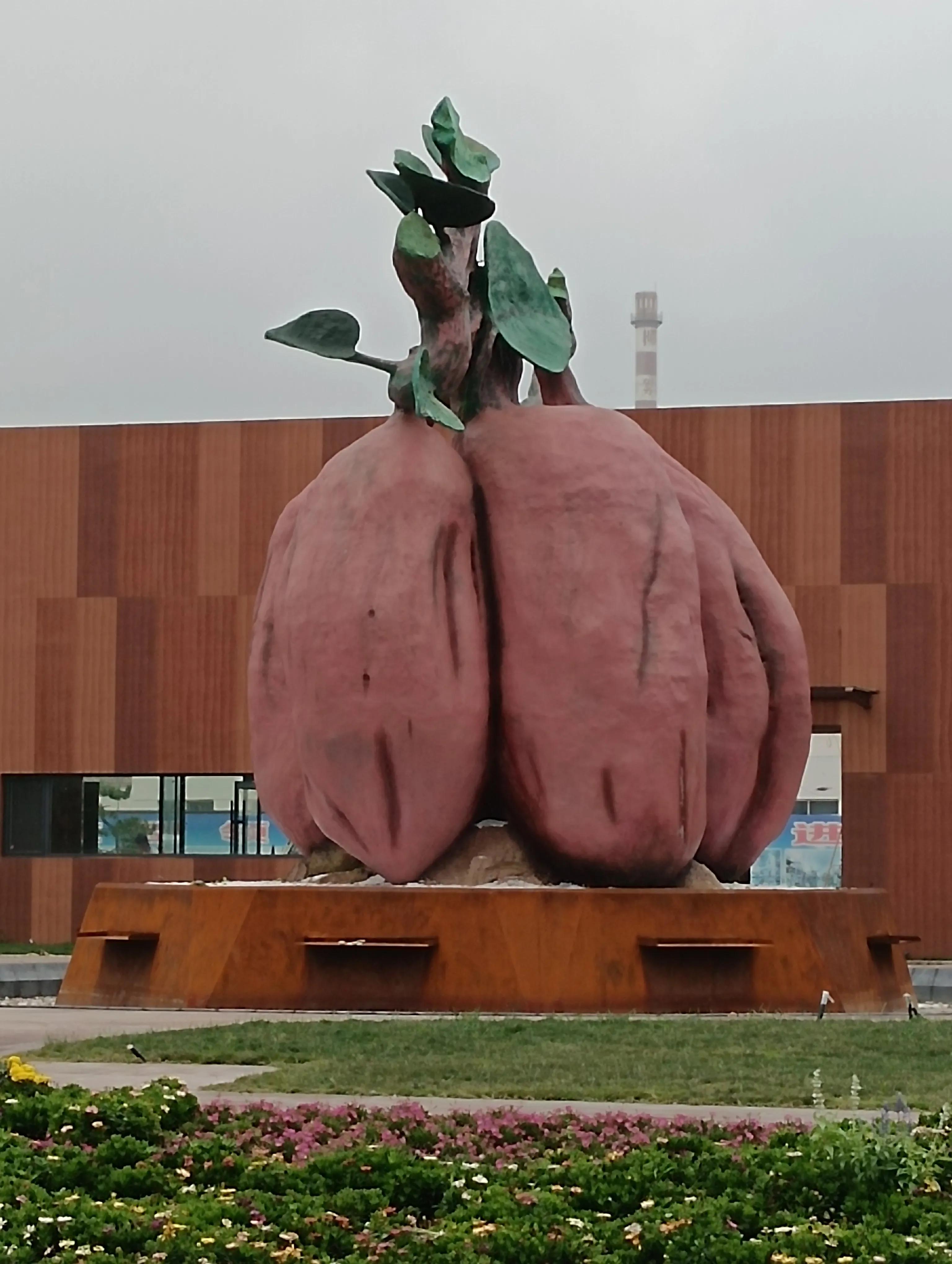 小红薯撬动大产业,小甘薯种植致富