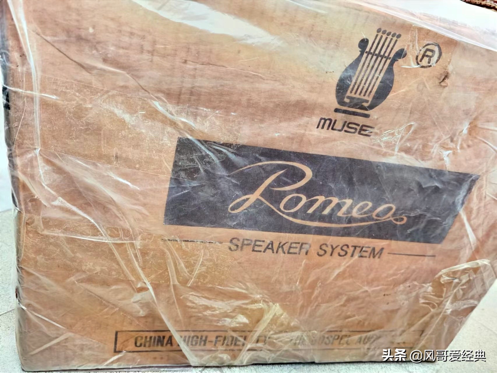 缪斯音箱大全图,缪斯音箱哪款型号好