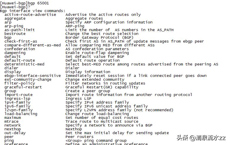 SD-WANCPE、NFV（虚拟路由器）学习与部署
