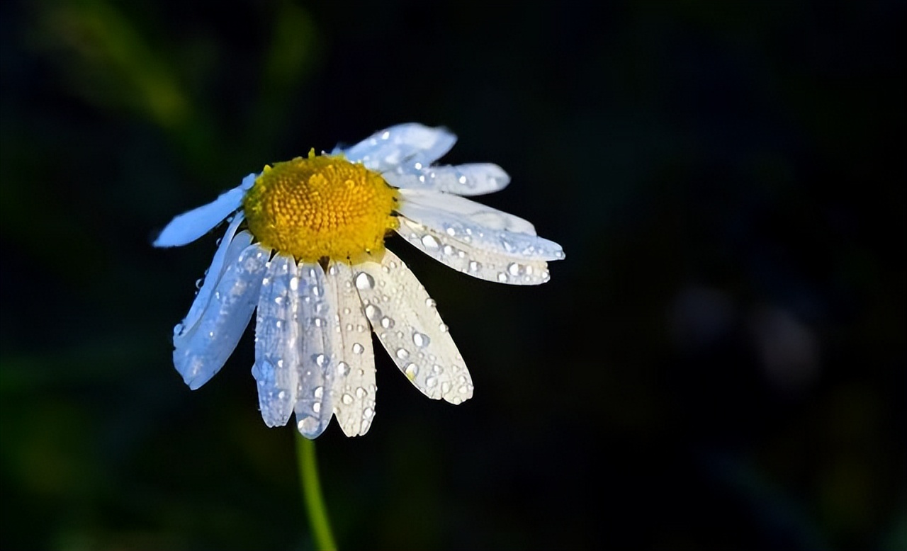 兄弟姐妹相处不和谐怎么办,兄弟姐妹之间相处不好怎么办