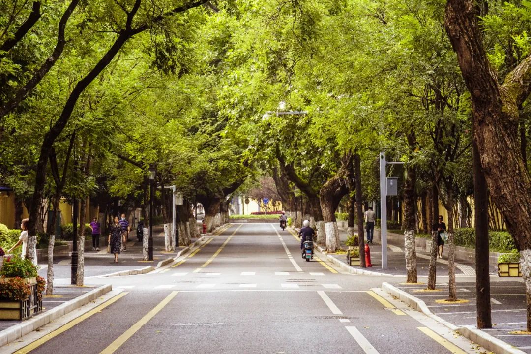 南京哪里好玩晚上本地人去的,南京本地人才知道的好玩的